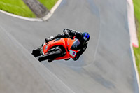 PJ-Motorsport-Photography-2020;anglesey;brands-hatch;cadwell-park;croft;donington-park;enduro-digital-images;event-digital-images;eventdigitalimages;mallory;no-limits;oulton-park;peter-wileman-photography;racing-digital-images;silverstone;snetterton;trackday-digital-images;trackday-photos;vmcc-banbury-run;welsh-2-day-enduro